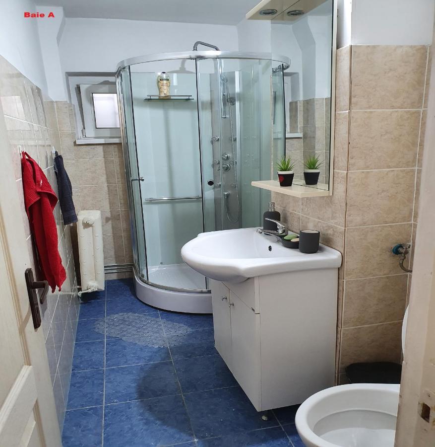 Mia Central Apart, 3 Rooms, 2 Baths, Afi Mall Brasov Ngoại thất bức ảnh