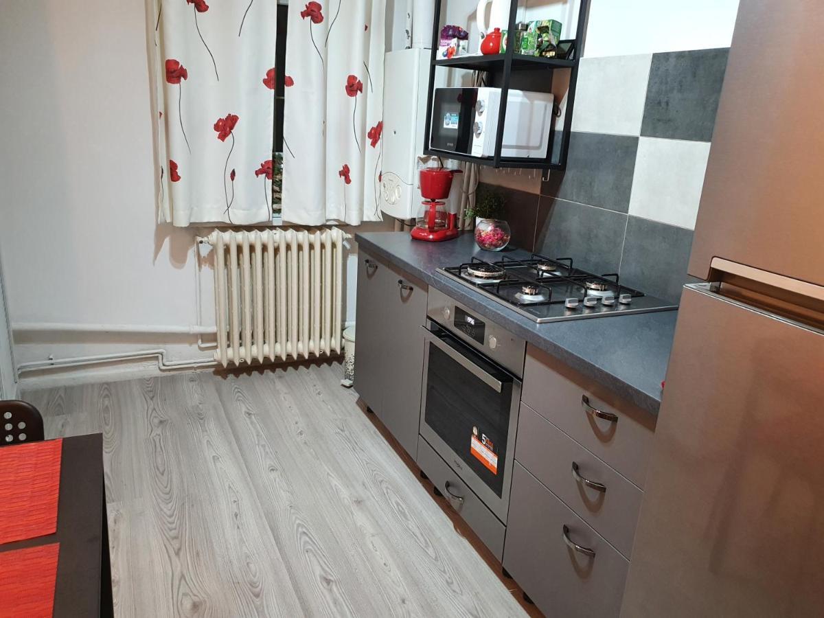 Mia Central Apart, 3 Rooms, 2 Baths, Afi Mall Brasov Ngoại thất bức ảnh